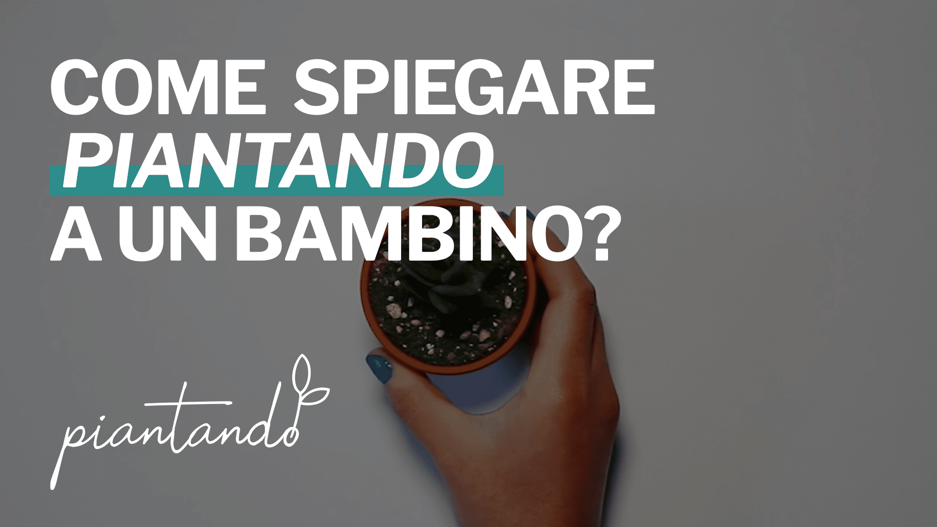 Piantando-Hand-Drawn Piantando-Hand-Drawn