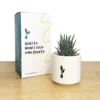 haworthia+scatola