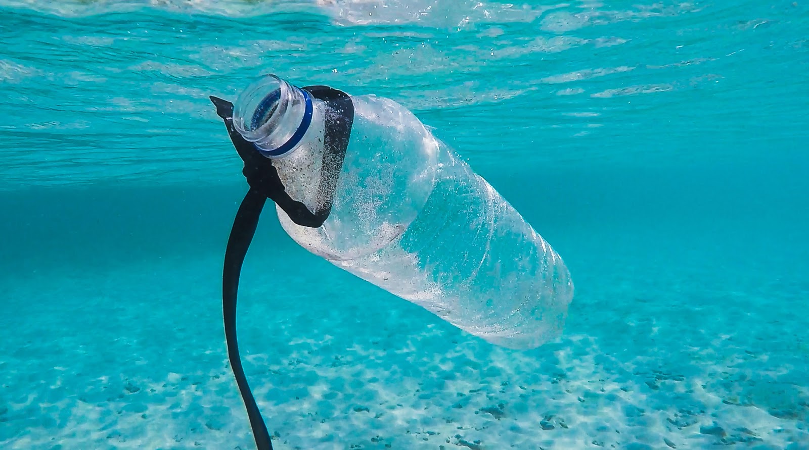 plastic-sea-piantando