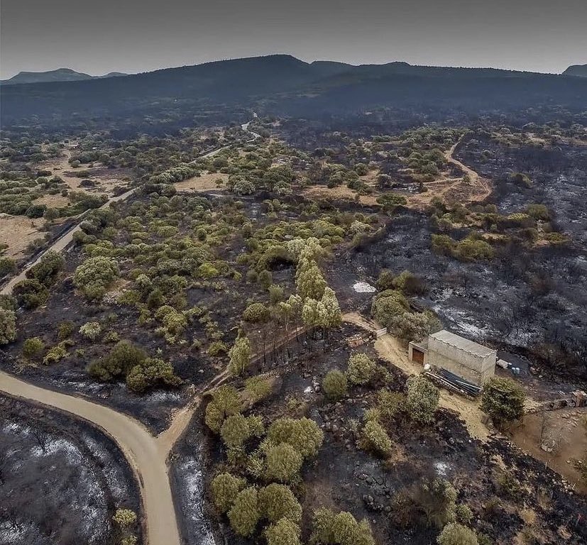 Sardegna in fiamme