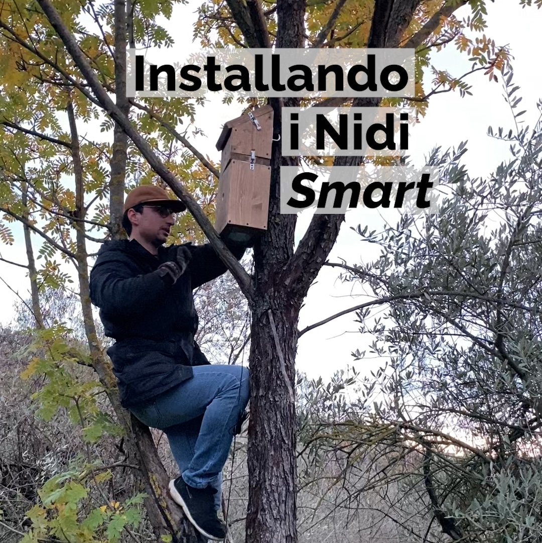 installare-nido