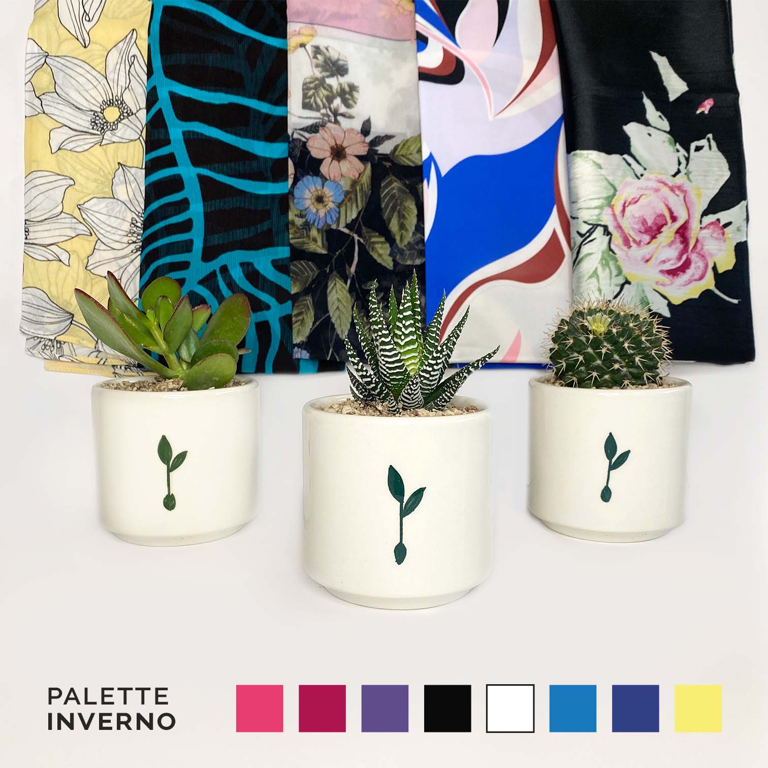 pianta-foulard_inverno-2
