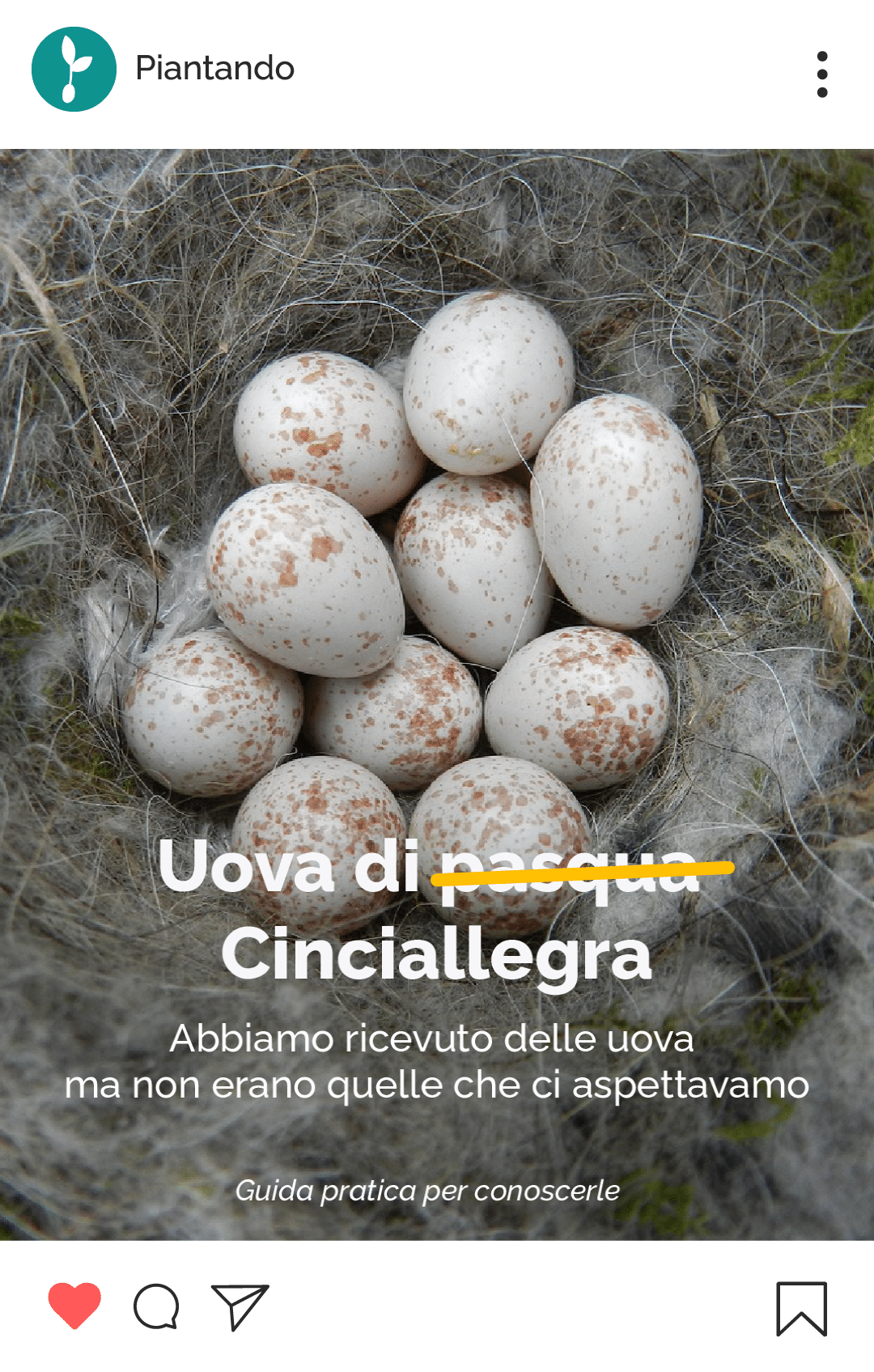 PED-Maggio-Stories-06