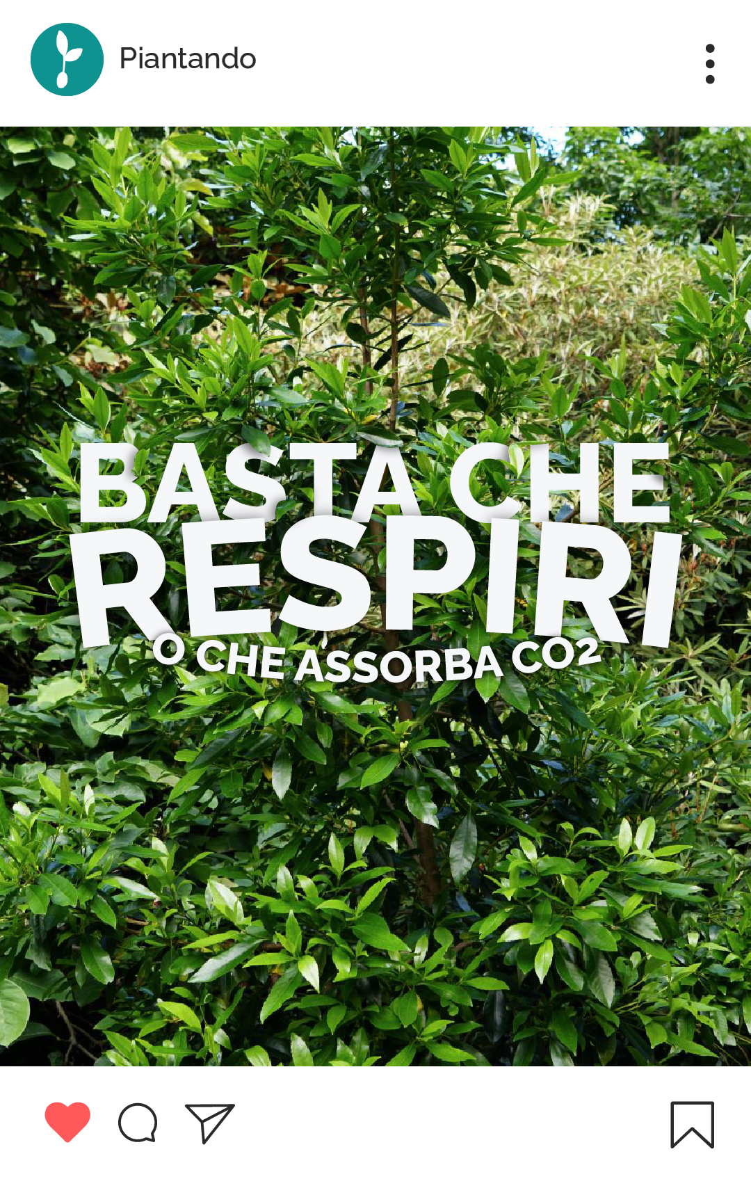 PED-Maggio-Stories-07